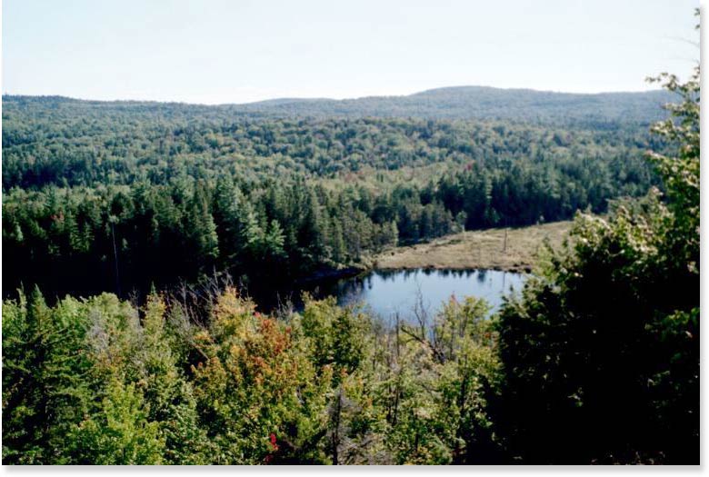 This view is of the beaver pond at the gravel road access for Little Wilson Falls. Courtesy askus3@optonline.net